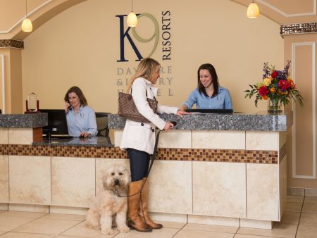 Rensselaer Commercial Properties K9 Resorts Luxury Pet Hotel